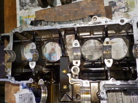 DSCN9504