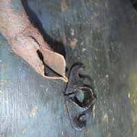 DSCF3018