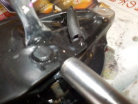 DSCN8220