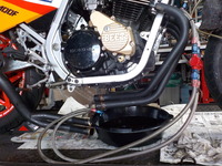 DSCN7502