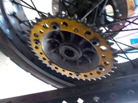 DSCN5920