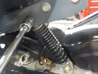 DSCN3849