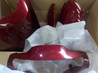 DSCN5460