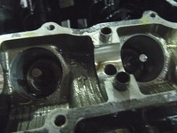 P1030010