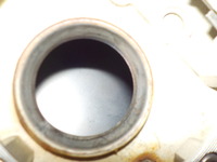 DSCN8455