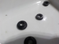 DSCN1560