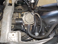 DSCN5139