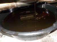 DSCN0738