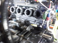 DSCN4600