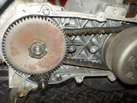 DSCN5795