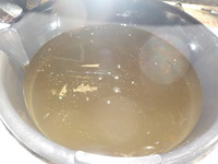 DSCN2369