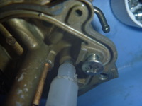 P1100028