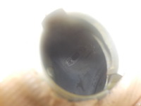DSCN7043