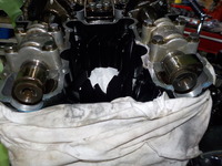 DSCN6766