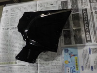 DSCN8784
