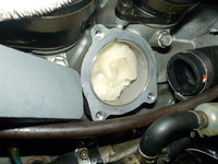 DSCN8026