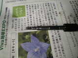 20110702 (4)