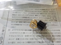 DSCN9251