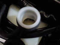 DSCN3017