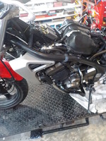 DSCN7966