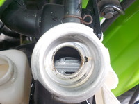 DSCN3082