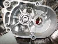 DSCN9675
