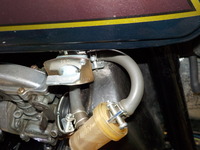 DSCN5985