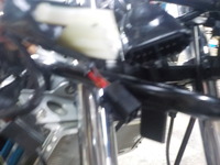 DSCN6837