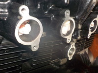 DSCN6622
