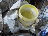 DSCN8804