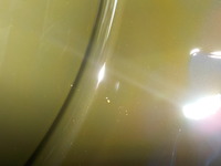 DSCN4761