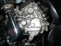 DSCN7384