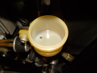 DSCN8259