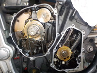 DSCN7948