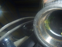 P1170933