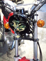 ape100red20111012ws (3)