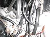 20110723 (9)