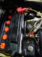 DSCN2390