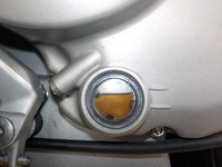 DSCN5882