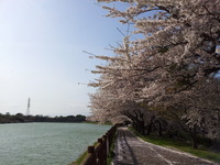 20130405_152745