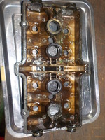 DSCN5387
