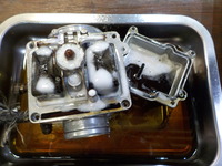 DSCN0202