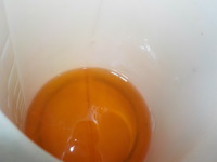 DSCN4094