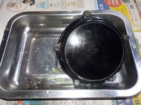 DSCN5959