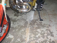 DSCN6320
