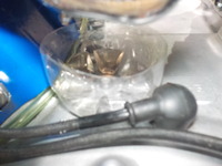 DSCN7423