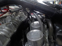 DSCN7075