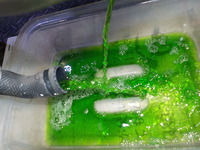 DSCN7998