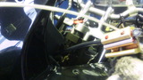 xelvis20111206ws (17)