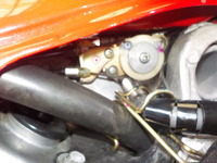DSCN5629